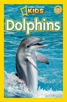 Dolphins
