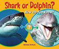 Shark or Dolphin?