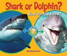 Shark or Dolphin? HOw Do You KNow?