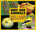 Why Are Animals Yellow?