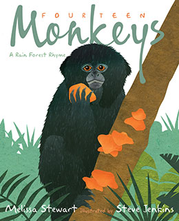 Fourteen Monkeys a Rain Forest Rhyme