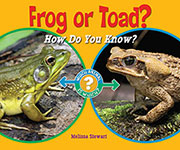Frog or Toad?