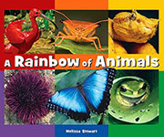 Rainbow of Animals
