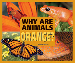 Why Are Animals Orange?