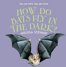 How Do Bats Fly in the Dark?