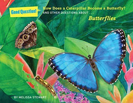 How Does a Caterpillar Become a Butterfly? and Other Questions about Butterflies