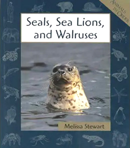 Seals Sea Lions and Walruses