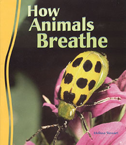 How Animals Breathe