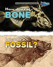How Does a Bone Become a Fossil