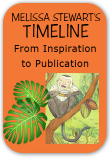 Timeline from Inspiration to Publication