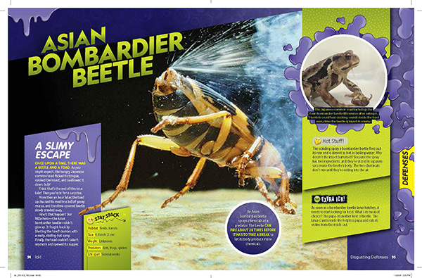 Melissa Stewart Bombardier Beetle from Ick!