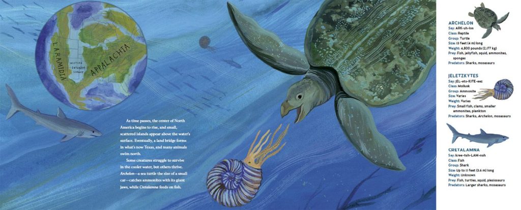 illustration copyright Becca Stadtlander from Sharks in Kansas, written by Melissa Stewart, published by Random House, 2026