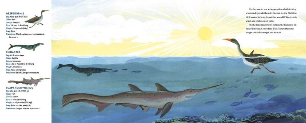 illustration copyright Becca Stadtlander from Sharks in Kansas, written by Melissa Stewart, published by Random House Studio, 2026